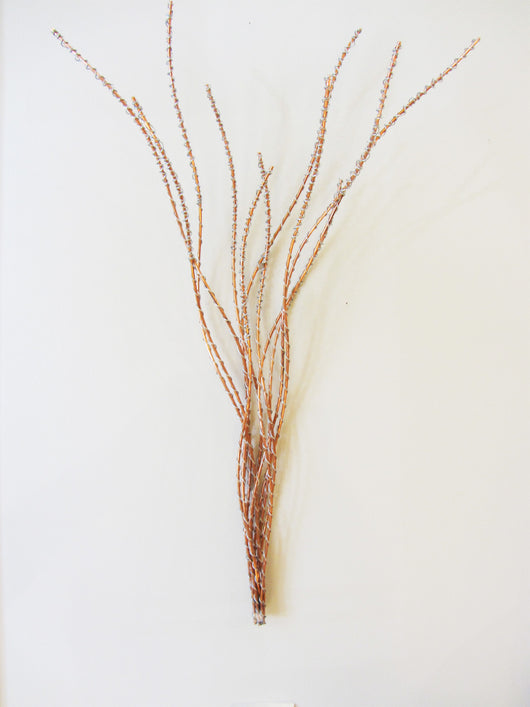 Copper Grass with Silver Seed Buds