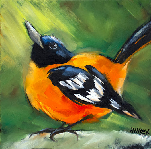 Spring Baltimore Oriole Giclee