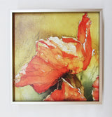 Calligraphy And Poppies Framed Giclee