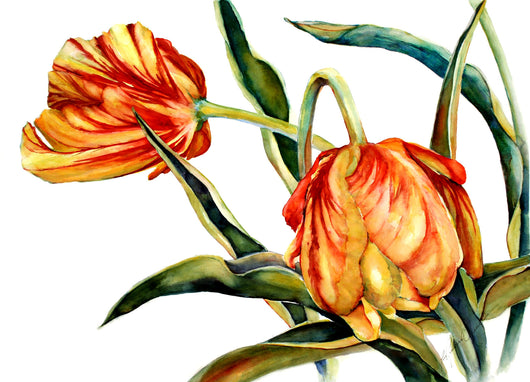 Festival Flames Giclee