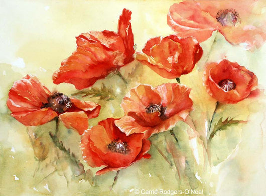 Garden Fire Poppies Giclee