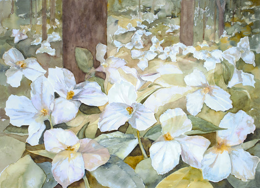 Trillium Sanctuary Giclee