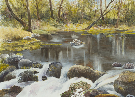 Fall Along Au Sable Giclee