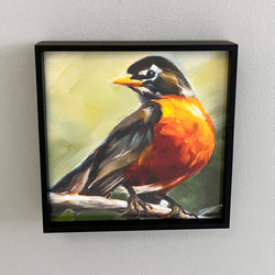 American Robin framed giclee