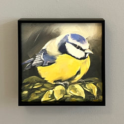 Blue Titmouse Framed Giclee