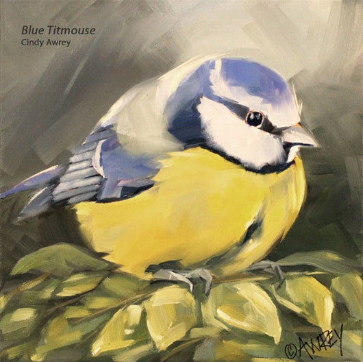 Blue Titmouse Giclee