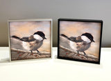 Chickadee on Branch Framed