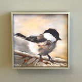 Chickadee on Branch Framed