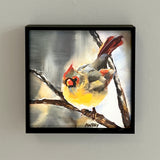 Female Cardinal Squared Framed Giclee