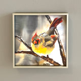 Female Cardinal Squared Framed Giclee