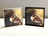 Glowing Female Cardinal Framed Giclee