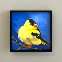 Gold Finch on Blue Framed Giclee