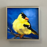 Gold Finch on Blue Framed Giclee