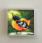 Spring Baltimore Oriole Framed Giclee