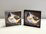 Tiny Titmouse Framed Giclee