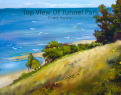 Top View of Tunnel Park Giclee