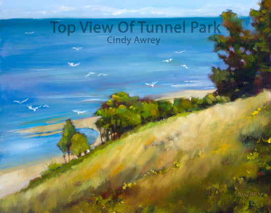 Top View of Tunnel Park Giclee