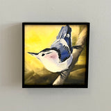 White Breasted Nuthatch II Framed Giclee