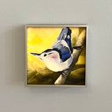 White Breasted Nuthatch II Framed Giclee