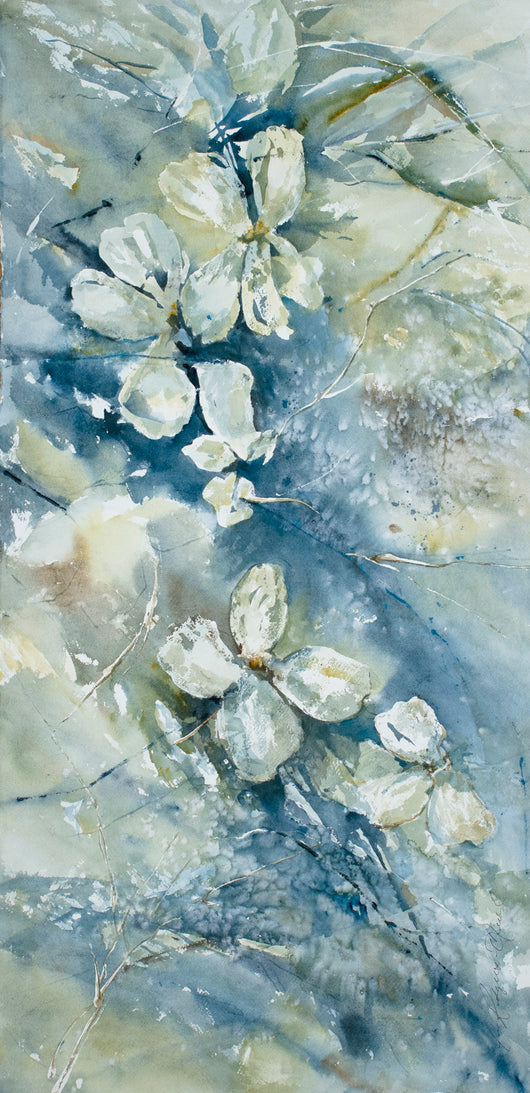 Dogwood Blooms and Branches I watercolor painting