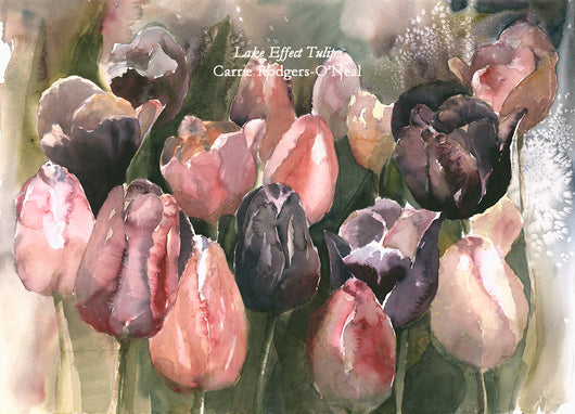 Lake Effect Tulips Giclee