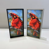 His Majesty Cardinal Framed Giclee