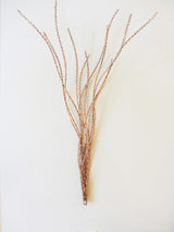 Copper Grass with Silver or Gold Seed Buds