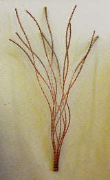 Copper Grass with Silver or Gold Seed Buds