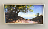 Tree Giclee Framed