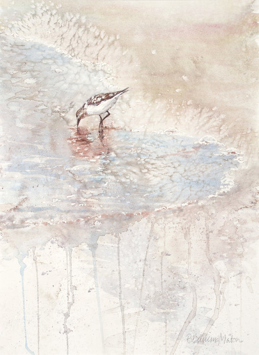 Sand Piper Giclee