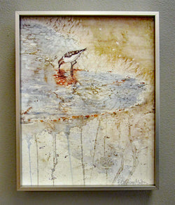 Sand Piper Framed Canvas Giclee