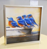 Blue Bird Quartet Framed Giclee