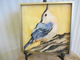 White Breasted Nuthatch Framed Giclee