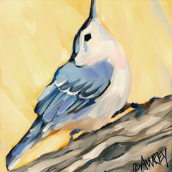 White Breasted Nuthatch Giclee