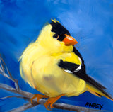 Gold Finch on Blue Giclee