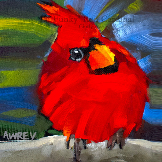 'Lil Funky' Red Cardinal Squared Giclee