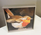 Nuthatch on Post Framed Giclee