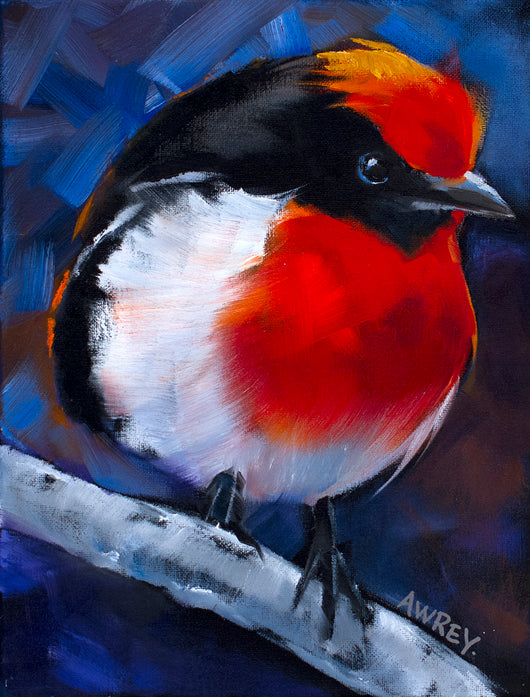 Red and Black Finch Giclee