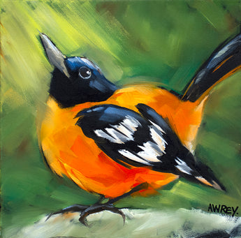 Spring Baltimore Oriole Giclee