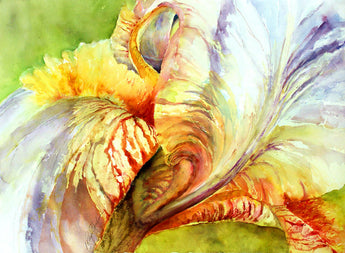 Celebration Iris Giclee