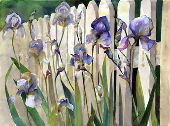 Colonial Williamsburg Iris Giclee
