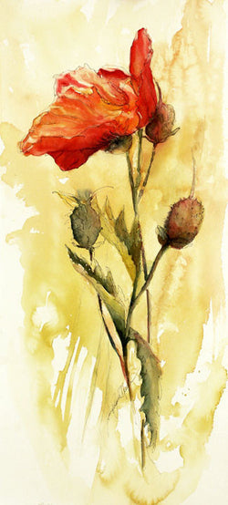 Solo Poppy Giclee