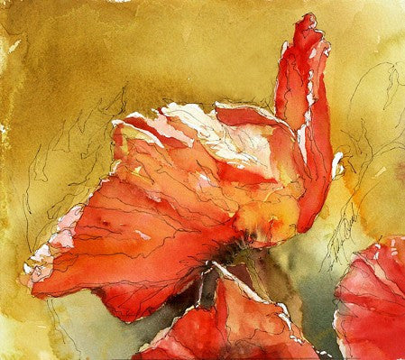 Calligraphy And Poppies Giclee
