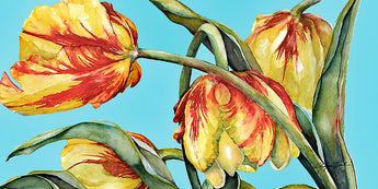Capturing the Sun Giclee
