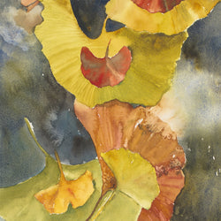 Evening Ginkgo Leaves Squared One Giclee