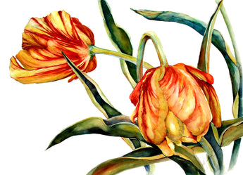 Festival Flames Giclee