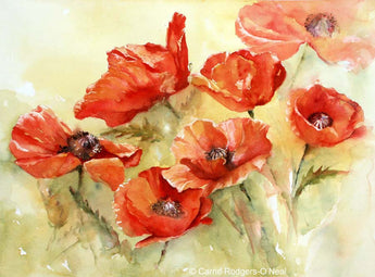 Garden Fire Poppies Giclee