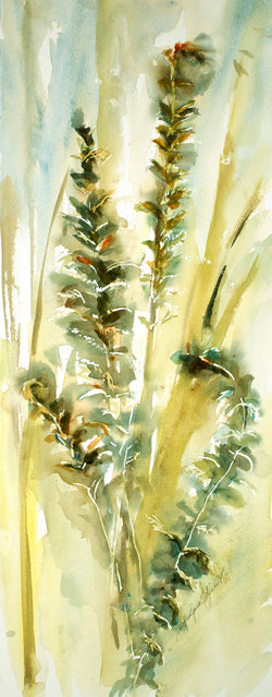Ostrich Ferns One Original Watercolor Painting