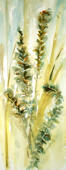 Ostrich Ferns One Watercolor Painting