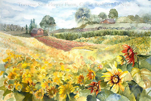 Traverse Sunflower Farm Giclee
